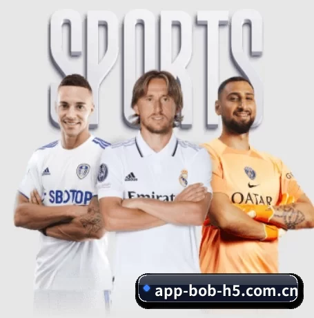 bob体育 APP 界面